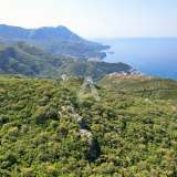  Land 22,200m2 with a panoramic view of the sea and the Budva Riviera Stanisici 8012258 thumb6