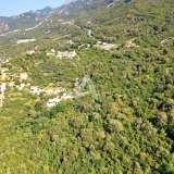  Land 22,200m2 with a panoramic view of the sea and the Budva Riviera Stanisici 8012258 thumb2