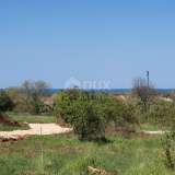  ISTRIA, POREČ - Building land with a project, sea view Porec 8212339 thumb2