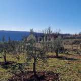  Istria, Labin, Pićan - Complete seclusion and a beautiful view!! Building land 750 m2 and agricultural land 692 m2 Labin 8212349 thumb46
