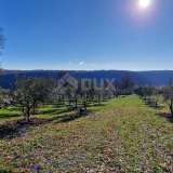  Istria, Labin, Pićan - Complete seclusion and a beautiful view!! Building land 750 m2 and agricultural land 692 m2 Labin 8212349 thumb43
