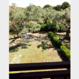  WITH GARDEN AND FOREST VIEW Sithonia 4912045 thumb17