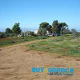  The property is 375m2 in total - built on 3 levels - on a 4,095 m2 plot,250 meters away from the beach.The construction is excellent, which started in 2005 and has not beencompleted yet (it is under construction). Also ideal for a small familybusi Terpsithea 7612553 thumb2