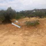  (For Sale) Land Plot || East Attica/Paiania - 448 Sq.m, 110.000€ Athens 7812577 thumb0