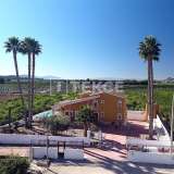  Villa de estilo mediterráneo con gran parcela en Orihuela Alicante 8112631 thumb0