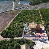  Villa de estilo mediterráneo con gran parcela en Orihuela Alicante 8112631 thumb3