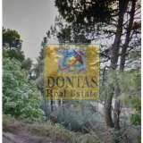  (For Sale) Land Plot || East Attica/Dionysos - 800 Sq.m, 200.000€ Dionysos 8112717 thumb2