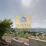  (For Sale) Land Plot || Athens North/Nea Erithraia - 1.210 Sq.m, 1.500.000€ Athens 8112718 thumb0