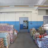   Pleven 5312762 thumb2