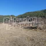  Agricultural land next to regulation at the foot of Rila Mountain Beli Iskar village 4612816 thumb9