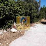  (For Sale) Land Plot || Chios/Chios - 6.000 Sq.m, 180.000€ Chios 6112990 thumb0