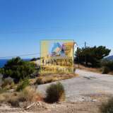  (For Sale) Land Plot || Chios/Kardamyla - 4.405 Sq.m, 235.000€ Kardamila 6112997 thumb6