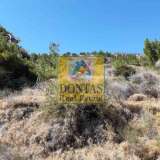  (For Sale) Land Plot || Chios/Kardamyla - 4.405 Sq.m, 235.000€ Kardamila 6112997 thumb3