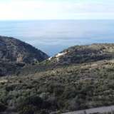  For Sale - (€ 0 / m2), Agricultural 2763 m2 Lefkada 8113268 thumb4