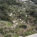  For Sale - (€ 0 / m2), Agricultural 2763 m2 Lefkada 8113268 thumb5