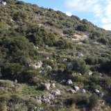  For Sale - (€ 0 / m2), Agricultural 2763 m2 Lefkada 8113268 thumb8