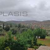 (For Sale) Residential Detached house || East Attica/Kalyvia-Lagonisi - 380 Sq.m, 4 Bedrooms, 850.000€ Lagonisi 7513374 thumb9