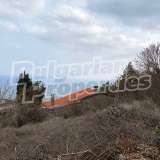  Regulated plot with unobstructed sea views Balchik city 8113434 thumb8