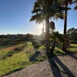   Tavira (Wschód Algarve) 8113716 thumb6