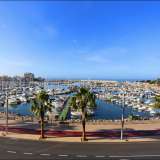   Palma de Mallorca Capital 3613925 thumb0