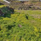  (For Sale) Land Agricultural Land  || Cyclades/Santorini-Oia - 4.300 Sq.m, 70.000€ Oia 7514135 thumb2