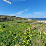  (For Sale) Land Agricultural Land  || Cyclades/Santorini-Oia - 4.300 Sq.m, 70.000€ Oia 7514135 thumb1