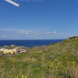 (For Sale) Land Agricultural Land  || Cyclades/Santorini-Oia - 4.300 Sq.m, 70.000€ Oia 7514135 thumb0