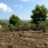  (For Sale) Land Agricultural Land  || Chalkidiki/Ormylia - 5.200Sq.m, 82.000€ Ormilia 3614187 thumb0