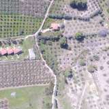  (For Sale) Land Agricultural Land  || Chalkidiki/Ormylia - 5.200Sq.m, 82.000€ Ormilia 3614187 thumb4