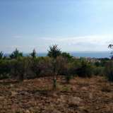  (For Sale) Land Agricultural Land  || Chalkidiki/Ormylia - 5.200Sq.m, 82.000€ Ormilia 3614187 thumb3