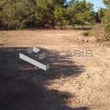  (For Sale) Land Plot || Piraias/Aigina - 1.900 Sq.m, 160.000€ Piraeus 7514188 thumb5