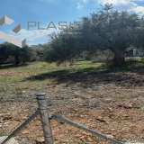  (For Sale) Land Plot || East Attica/Paiania - 653 Sq.m, 220.000€ Athens 7514208 thumb0