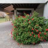 Luxuriöse Villa mit wunderschönen Garten und privater Zufahrt Gemona 8114248 thumb30