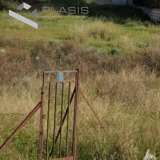  (For Sale) Land Plot || East Attica/Koropi - 700 Sq.m, 200.000€ Athens 7514253 thumb0