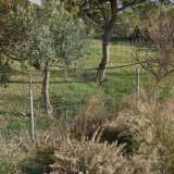  (For Sale) Land Plot || East Attica/Kalyvia-Lagonisi - 518 Sq.m, 270.000€ Lagonisi 7514273 thumb0