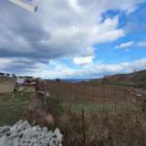  (For Sale) Land Plot || Cyclades/Santorini-Thira - 16.781 Sq.m, 1.000.000€ Santorini (Thira) 7514304 thumb1