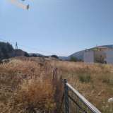  (For Sale) Land Plot || East Attica/Markopoulo Mesogaias - 2.100 Sq.m, 350.000€ Markopoulo Oropou 7514332 thumb0