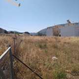  (For Sale) Land Plot || East Attica/Markopoulo Mesogaias - 2.100 Sq.m, 350.000€ Markopoulo Oropou 7514332 thumb1
