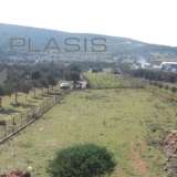  (For Sale) Land Plot || East Attica/Koropi - 4.250 Sq.m, 170.000€ Athens 7514366 thumb0