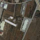  (For Sale) Land Plot || East Attica/Markopoulo Mesogaias - 4.450 Sq.m, 630.000€ Markopoulo Oropou 7514370 thumb0
