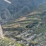  (For Sale) Land Plot || Cyclades/Santorini-Thira - 4.126 Sq.m, 230.000€ Santorini (Thira) 7514374 thumb5