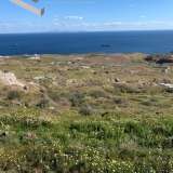   Santorini (Thira) 7514376 thumb3