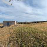  (For Sale) Land Agricultural Land  || Cyclades/Santorini-Thira - 12.500 Sq.m, 250.000€ Santorini (Thira) 7514378 thumb0