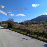 (For Sale) Land Plot || East Attica/Kalyvia-Lagonisi - 805 Sq.m, 300.000€ Lagonisi 7514396 thumb5