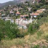  For Sale - (€ 0 / m2), Plot 732 m2 Iolkos 8214521 thumb6