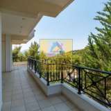  (For Sale) Residential Maisonette || Athens North/Penteli - 340 Sq.m, 4 Bedrooms, 750.000€ Penteli 7614551 thumb7