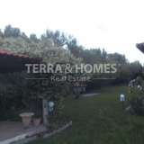  For Sale - (€ 0 / m2), Country House 100 m2 Moudania 4914648 thumb2