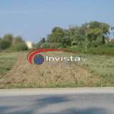  (For Sale) Land Agricultural Land  || Thessaloniki Suburbs/Thermaikos - 3.007 Sq.m, 130.000€ Thermaikos 4114834 thumb0