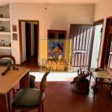  (For Sale) Residential Detached house || East Attica/Kapandriti - 240 Sq.m, 2 Bedrooms, 250.000€ Kapandriti 6614899 thumb1
