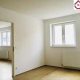  Moderne, großräumige, WG-geeignete 3-Zimmer Wohnung  im 3. Liftstock , mit sehr guter Infrastruktur & U-Bahn Nähe Wien 8014904 thumb1